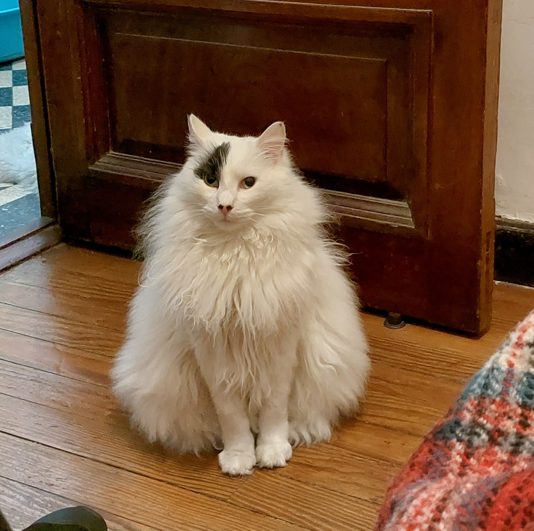 The Metaphysical Impossibility